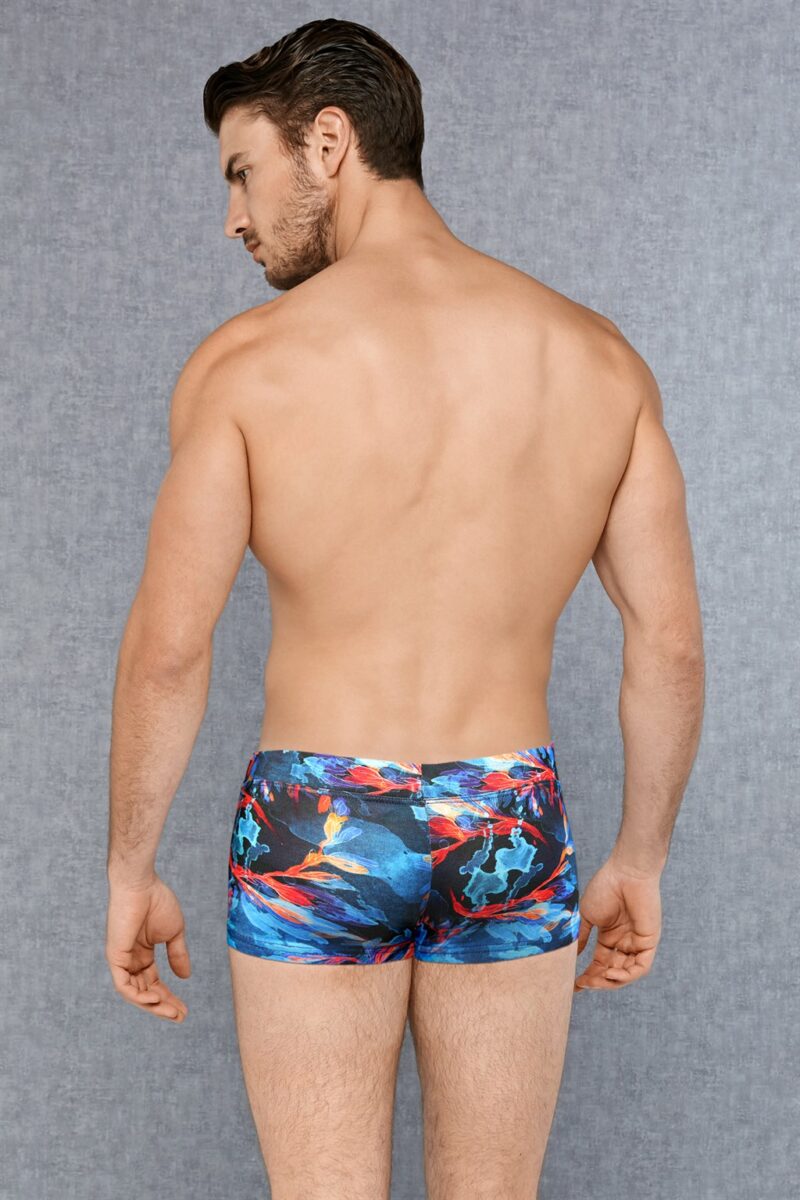 Мужские хипсы Doreanse 1741 Deep Sea вид сзади